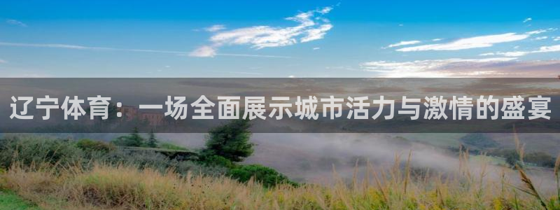 51视频在线直播nba：辽宁体育：一场全面展示城市活力与激情的盛宴