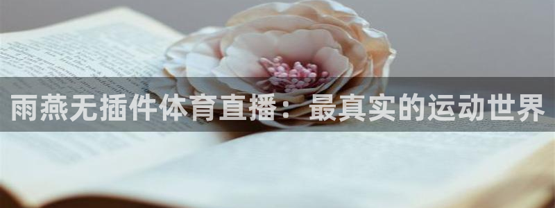 51视频在线直播nba：雨燕无插件体育直播：最真实的运动世界