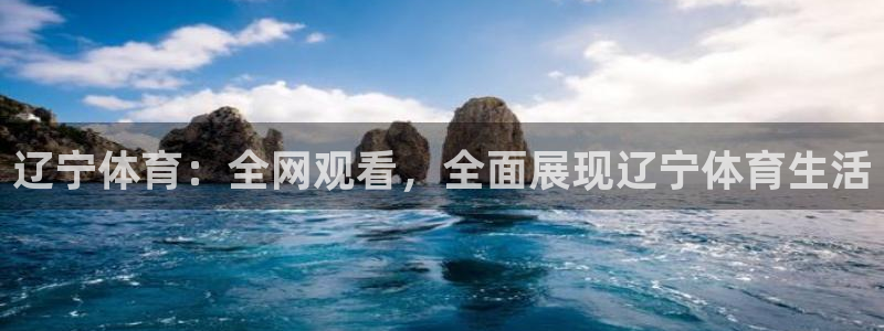 51视频在线直播nba：辽宁体育：全网观看，全面展现辽宁体育生活